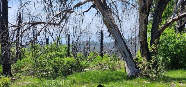 Berry Creek, CA 95916,51 Horseshoe