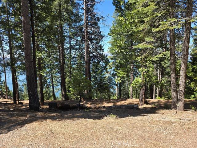 Lake Almanor, CA 96137,777 Lassen View