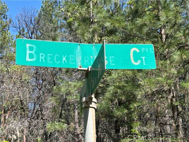 Berry Creek, CA 95916,64 Breckenridge