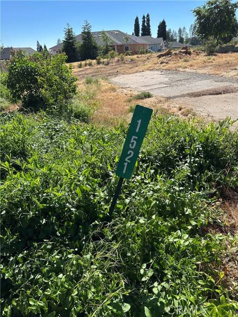 Paradise, CA 95969,1521 Forest