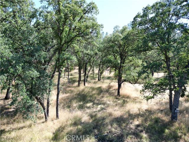 Corning, CA 96021,16625 Rancho Tehama