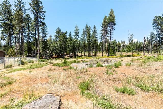 Magalia, CA 95954,13771 Finch