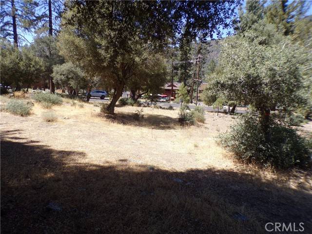 Pine Mountain Club, CA 93222,16220 Askin Drive