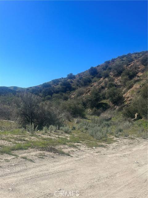 Agua Dulce, CA 91350,0 Vac/Silver Canyon Drt /Vic Oak