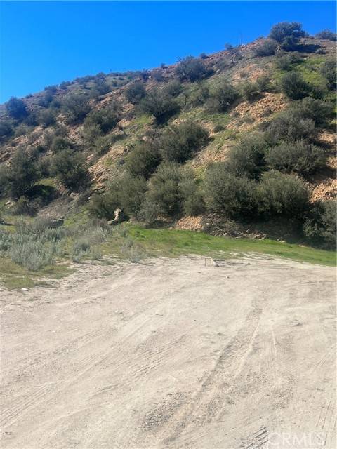 Agua Dulce, CA 91350,0 Vac/Silver Canyon Drt /Vic Oak