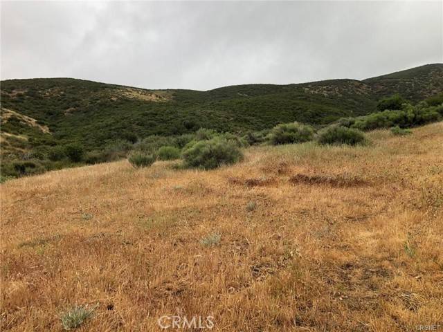 Leona Valley, CA 93551,80 Vac/Vic Avenue Q/80 Stw