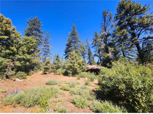 Pine Mountain Club, CA 93222,1708 Freeman