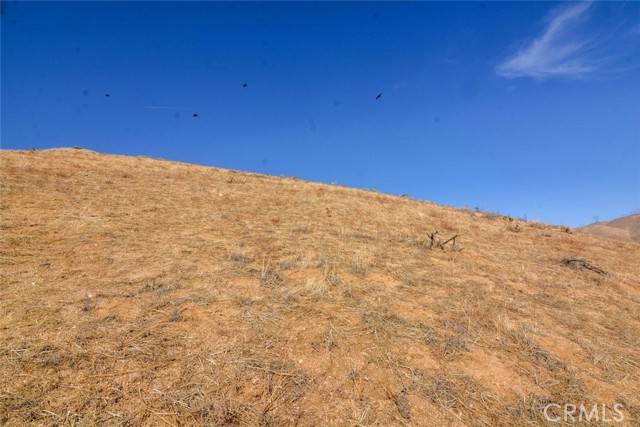 Acton, CA 93510,720 Berncastle