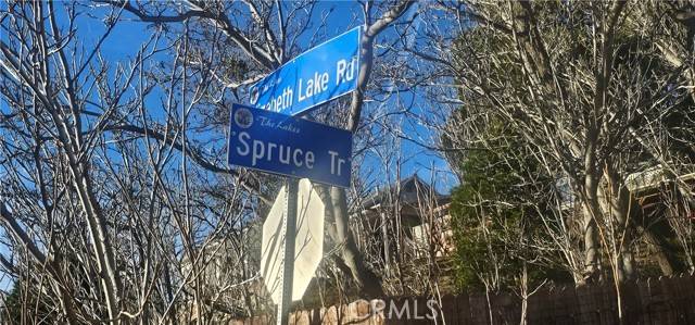 Lake Hughes, CA 93510,0 Spruce