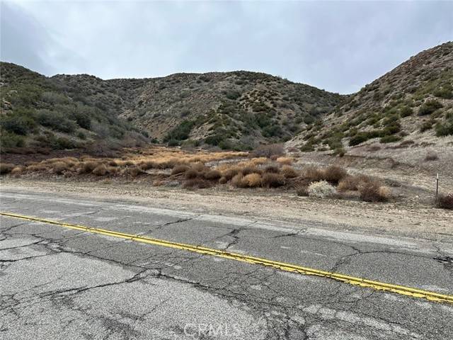 Leona Valley, CA 93551,0 Vac/Munz Ranch Rd/Vic Kern Wat