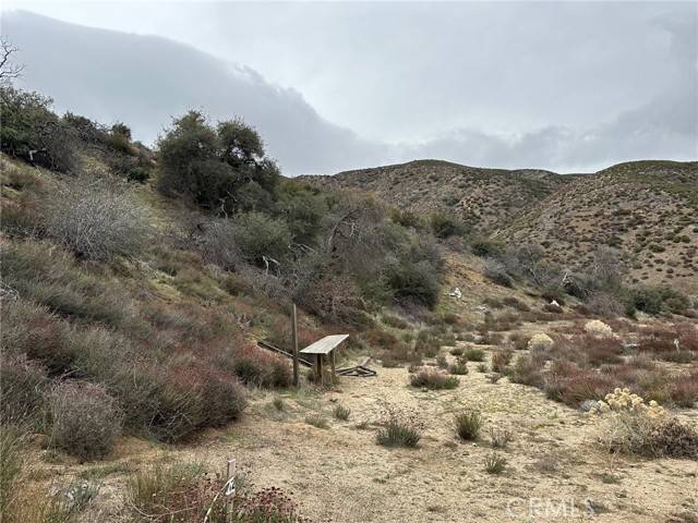 Leona Valley, CA 93551,0 Vac/Munz Ranch Rd/Vic Kern Wat