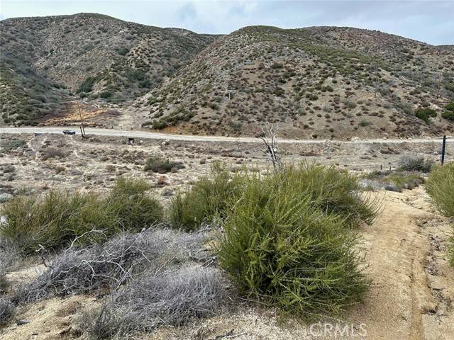 Leona Valley, CA 93551,0 Vac/Munz Ranch Rd/Vic Kern Wat