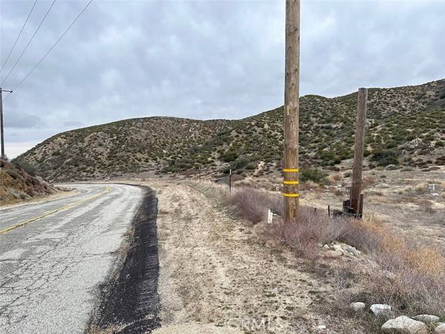 Leona Valley, CA 93551,0 Vac/Munz Ranch Rd/Vic Kern Wat