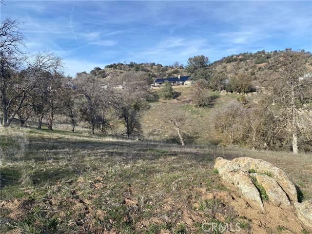 Tehachapi, CA 93561,0 Quail