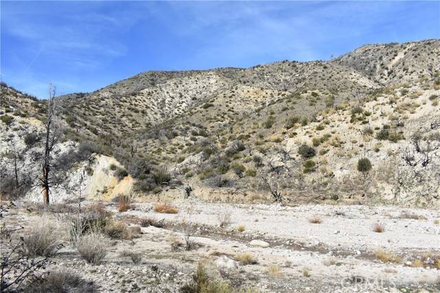 Lake Hughes, CA 93532,20811 Pine Canyon