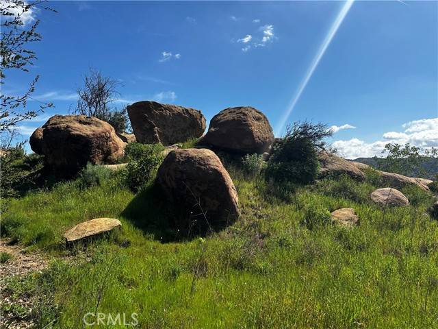 Bell Canyon, CA 91307,9 Colt