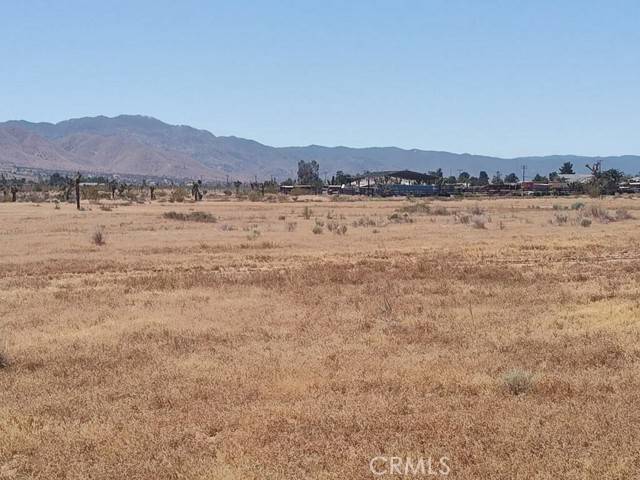 Apple Valley, CA 92308,0 Boxwood