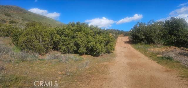 Acton, CA 93510,0 Dwight Lee