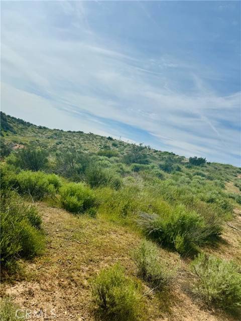 Agua Dulce, CA 91390,10517 Sierra