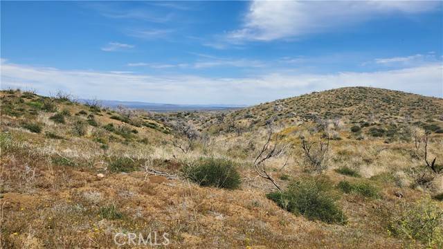 Juniper Hills, CA 93543,0 Pinon Pine Lane