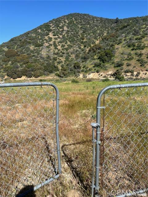 Leona Valley, CA 93551,39913 107th Street