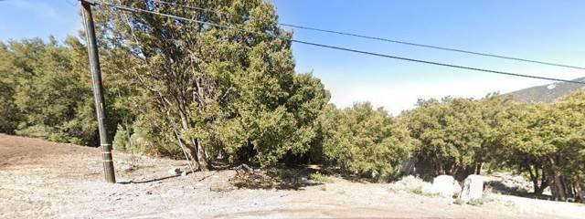 Pine Mountain Club, CA 93225,2029 Linden