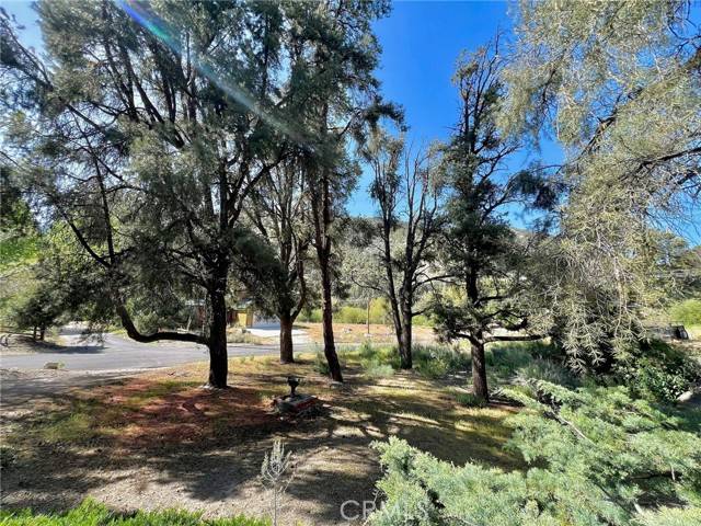 Pine Mountain Club, CA 93222,2601 Basel Court