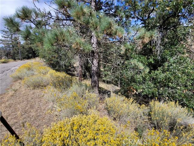 Tehachapi, CA 93561,25840 Wilderness