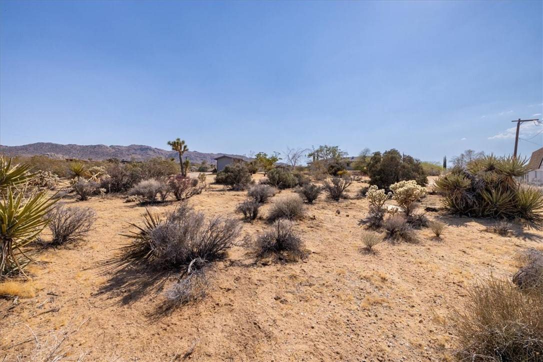 Joshua Tree, CA 92252,0 Saddleback