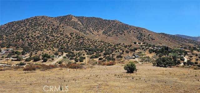 Acton, CA 93510,0 Vac/Soledad Pass Drt /Vic Hill