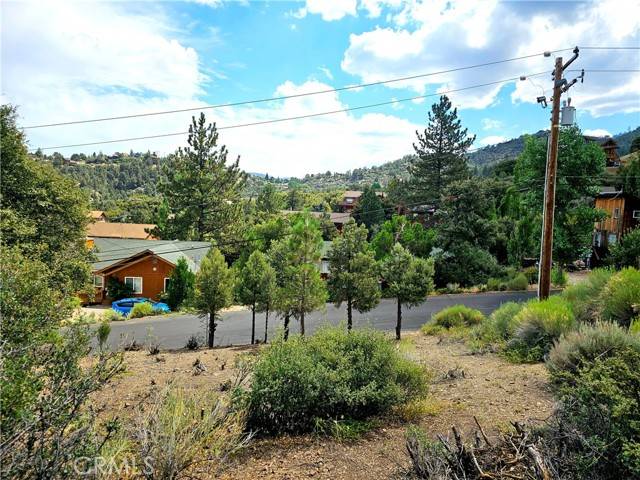 Pine Mountain Club, CA 93222,2005 Pioneer