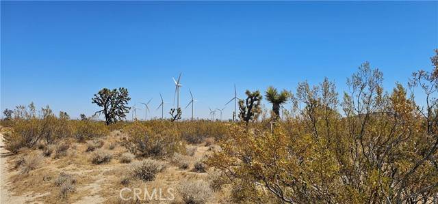 Mojave, CA 93501,0 Krista