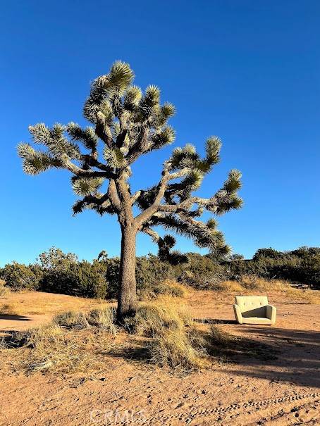 Palmdale, CA 93550,25 Barrel Springs