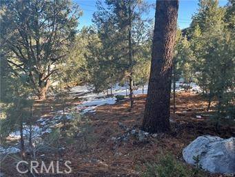 Pine Mountain Club, CA 93222,1604 Linden