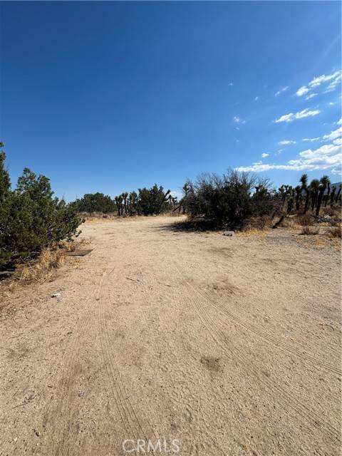 Llano, CA 93544,0 Avenue X