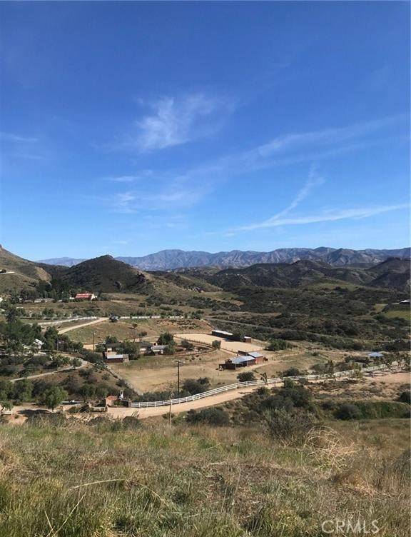 Agua Dulce, CA 91350,0 Vac/Vic Willow Ln/ Woolsox