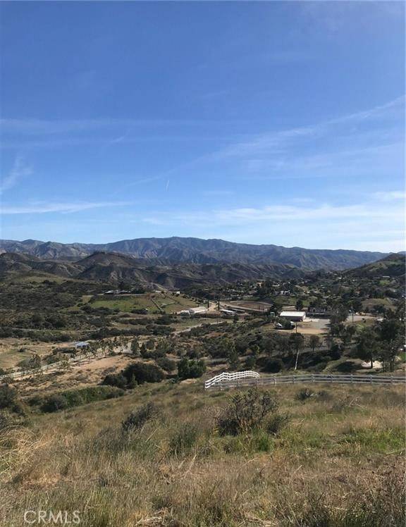 Agua Dulce, CA 91350,0 Vac/Vic Willow Ln/ Woolsox