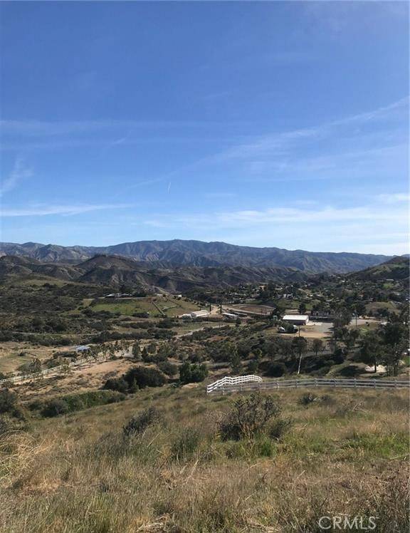 Agua Dulce, CA 91350,0 Vac/Vic Willow Ln/ Woolsox