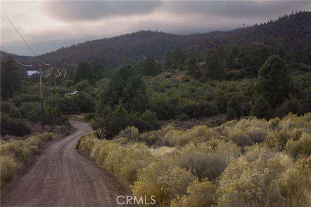 Frazier Park, CA 93225,0 Curtis Trl