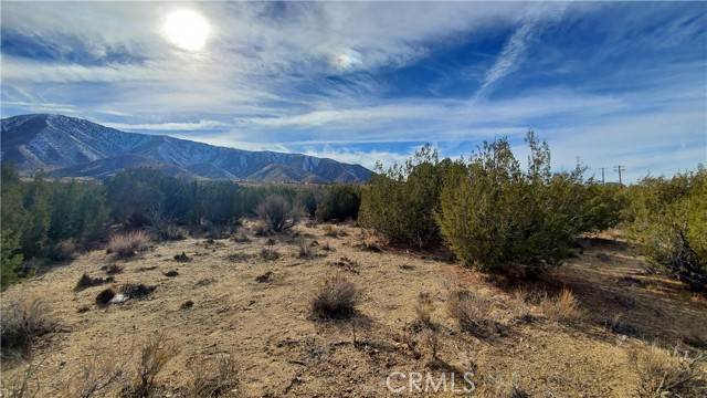 Juniper Hills, CA 93543,0 Honeybee Lane nr 121 St E