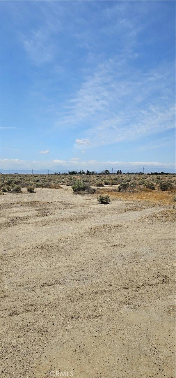 Rosamond, CA 93560,0 George