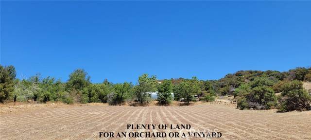 Leona Valley, CA 93551,9301 Lost Valley Ranch