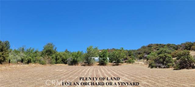 Leona Valley, CA 93551,9301 Lost Valley Ranch