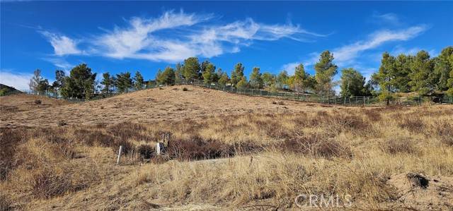 Agua Dulce, CA 91390,0 Carrie