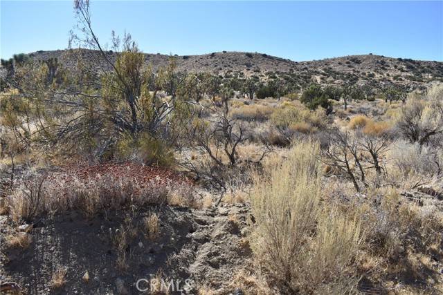 Palmdale, CA 93550,8100 Vac/Vic 81st Ste/Webber Ranch Rd