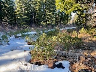 Nevada City, CA 95959,11041 Last Chance Mine