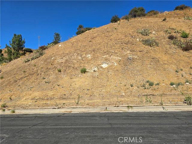 Sun Valley, CA 91352,10001 Roscoe