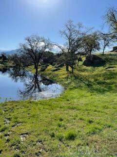 Porterville, CA 93257,0 Pothole