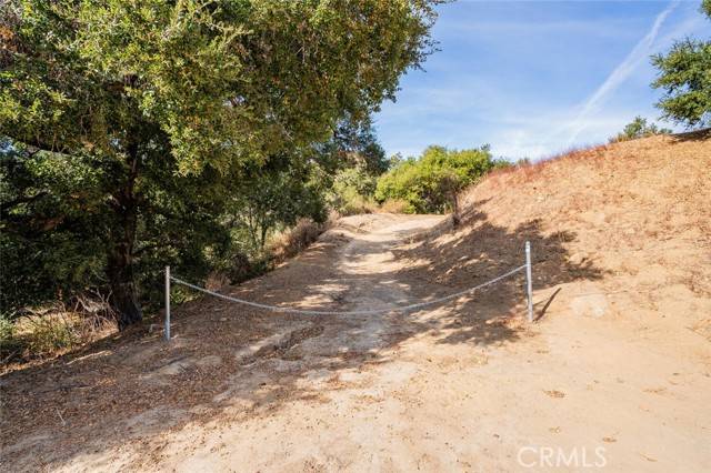 Bell Canyon, CA 91307,137 Buckskin