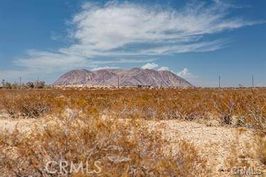 Joshua Tree, CA 92252,0 Mars